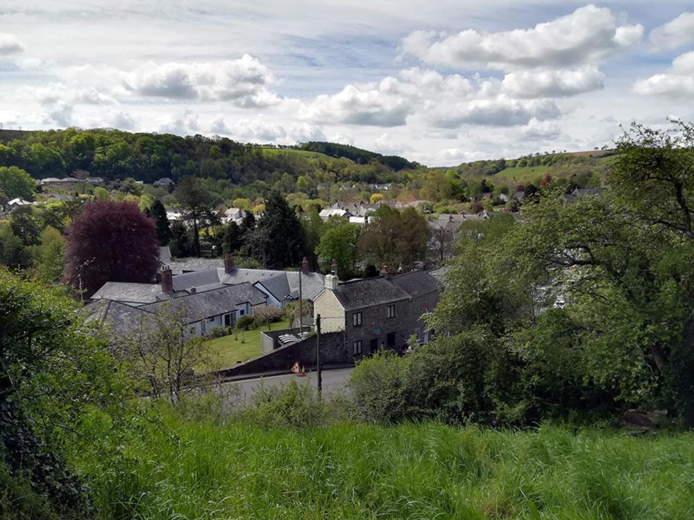 Acer Bampton (Devon)
